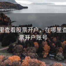 在哪里查看股票开户，在哪里查看股票开户账号