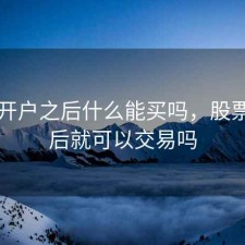 股票开户之后什么能买吗，股票开户后就可以交易吗