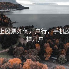 手机上股票如何开户行，手机股票怎样开户