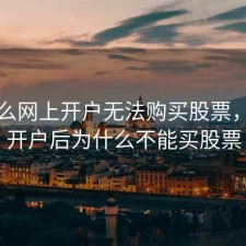 为什么网上开户无法购买股票，网上开户后为什么不能买股票