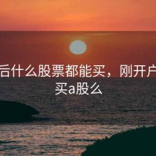 开户后什么股票都能买，刚开户只能买a股么