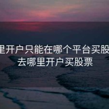 在哪里开户只能在哪个平台买股票吗，去哪里开户买股票