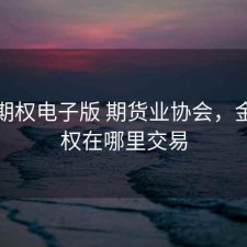 金融期权电子版 期货业协会，金融期权在哪里交易