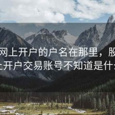股票网上开户的户名在那里，股票网上开户交易账号不知道是什么