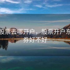 东方股票去哪开户，股票开户东方证券好不好