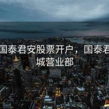 盐城国泰君安股票开户，国泰君安盐城营业部