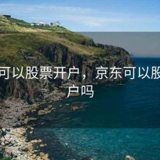 京东可以股票开户，京东可以股票开户吗