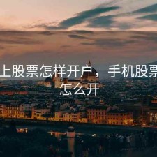 手机上股票怎样开户，手机股票开户怎么开