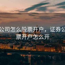 证券公司怎么股票开户，证券公司股票开户怎么开