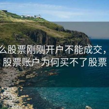 为什么股票刚刚开户不能成交，开完股票账户为何买不了股票