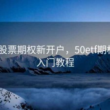 50etf股票期权新开户，50etf期权新手入门教程