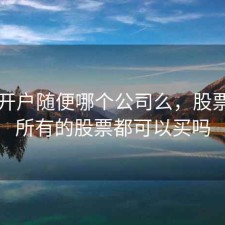 股票开户随便哪个公司么，股票开户所有的股票都可以买吗