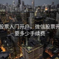 微信股票入门开户，微信股票开户需要多少手续费