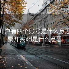 股票开户有四个账号是什么意思，股票开头xd是什么意思