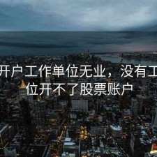 股票开户工作单位无业，没有工作单位开不了股票账户