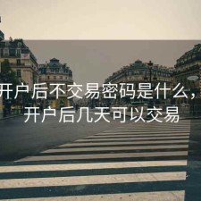 股票开户后不交易密码是什么，股票开户后几天可以交易