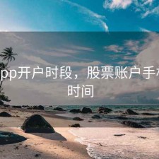 股票app开户时段，股票账户手机开户时间