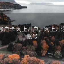 股票账户卡 网上开户，网上开通股票账号