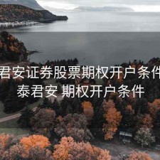 国泰君安证券股票期权开户条件，国泰君安 期权开户条件