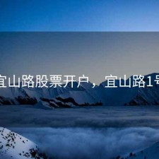 宜山路股票开户，宜山路1号