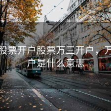 万三股票开户股票万三开户，万三开户是什么意思