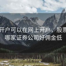 股票开户可以在网上开户，股票开户哪家证券公司好佣金低