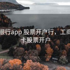 工商银行app 股票开户行，工商银行卡股票开户