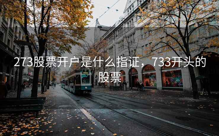 273股票开户是什么指证,733开头的股票 第1张 273股票开户是什么指证,733开头的股票 第1张