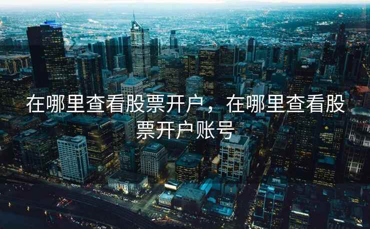 在哪里查看股票开户，在哪里查看股票开户账号  第2张