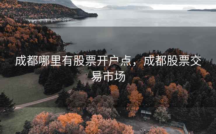 成都哪里有股票开户点，成都股票交易市场  第1张