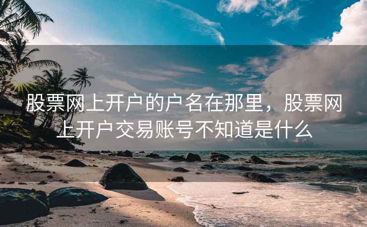 股票网上开户的户名在那里,股票网上开户交易账号不知道是什么 第2张 股票网上开户的户名在那里,股票网上开户交易账号不知道是什么 第2张