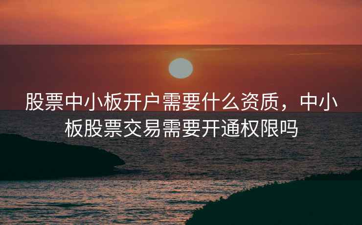 股票中小板开户需要什么资质，中小板股票交易需要开通权限吗  第2张
