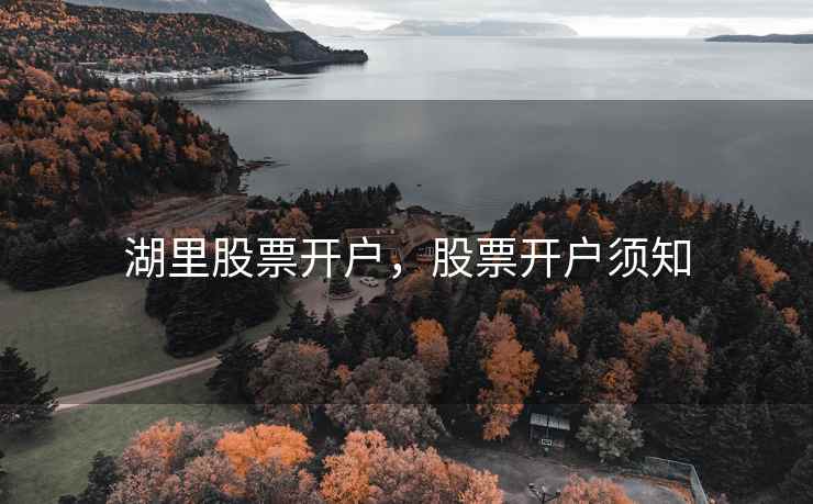 湖里股票开户，股票开户须知  第1张