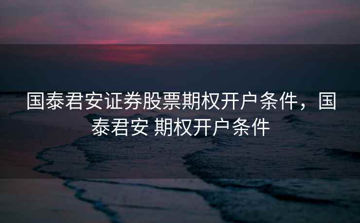 国泰君安证券股票期权开户条件，国泰君安 期权开户条件  第2张