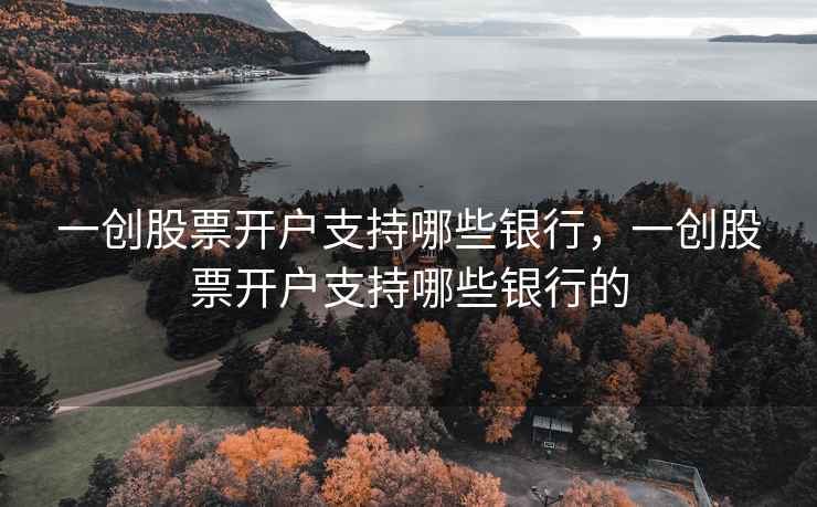一创股票开户支持哪些银行，一创股票开户支持哪些银行的  第2张