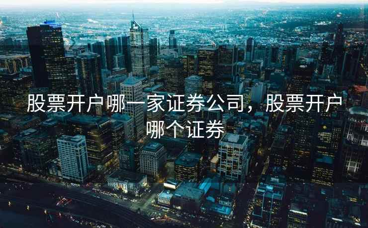 股票开户哪一家证券公司,股票开户哪个证券 第1张 股票开户哪一家证券公司,股票开户哪个证券 第1张