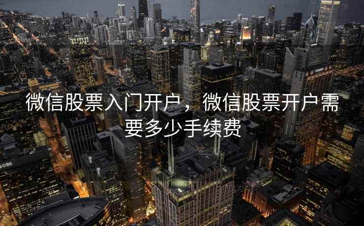 微信股票入门开户，微信股票开户需要多少手续费  第1张