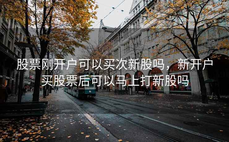 股票刚开户可以买次新股吗，新开户买股票后可以马上打新股吗  第1张