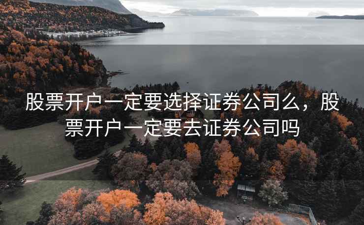 股票开户一定要选择证券公司么，股票开户一定要去证券公司吗  第2张