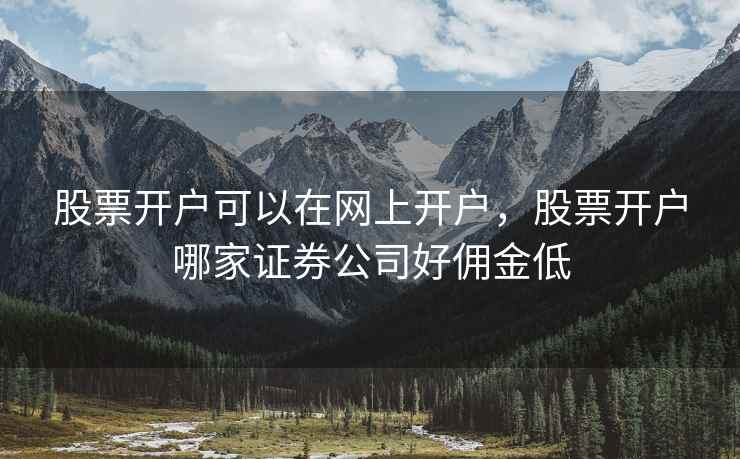 股票开户可以在网上开户，股票开户哪家证券公司好佣金低  第1张
