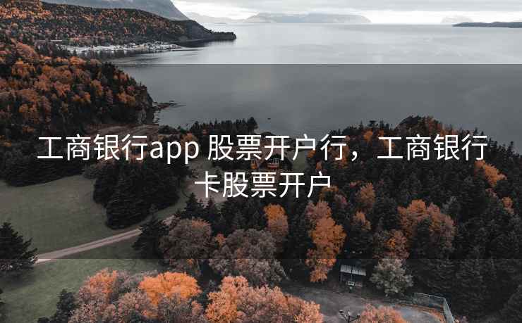 工商银行app 股票开户行，工商银行卡股票开户  第1张
