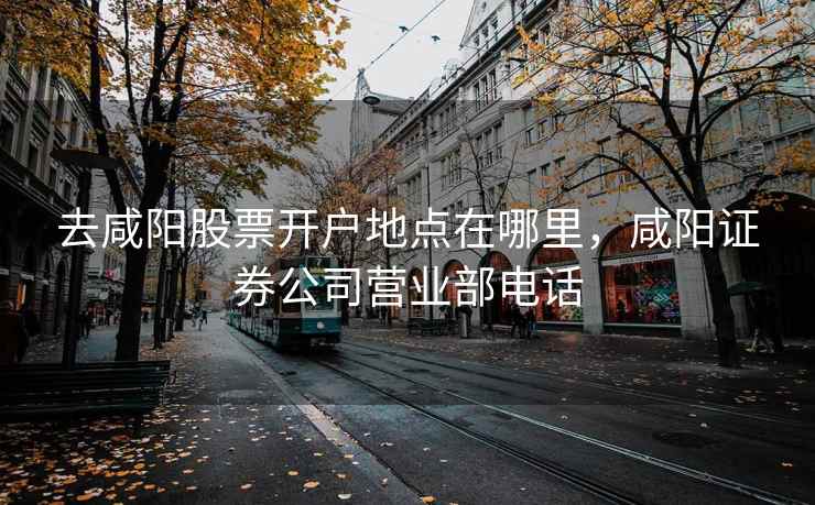 去咸阳股票开户地点在哪里，咸阳证券公司营业部电话  第2张