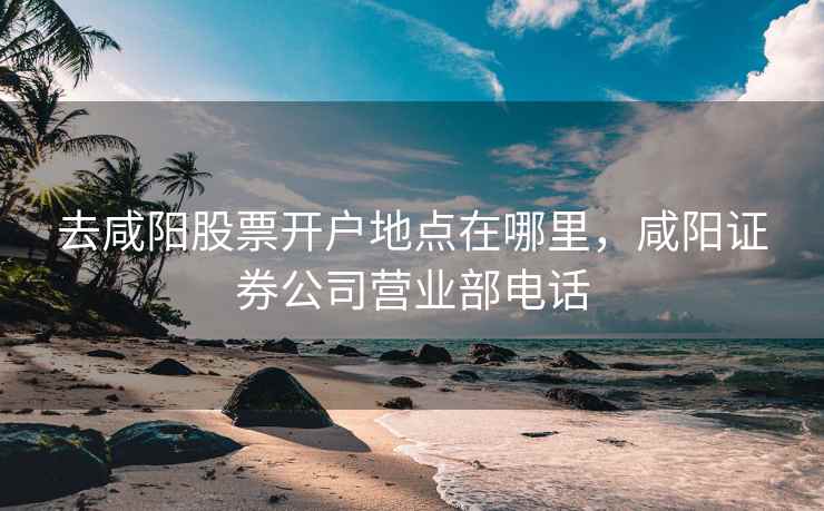 去咸阳股票开户地点在哪里，咸阳证券公司营业部电话  第1张