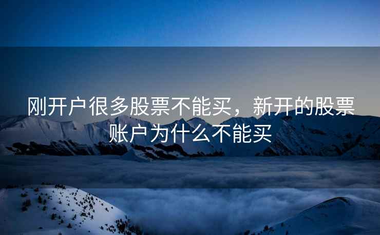 刚开户很多股票不能买，新开的股票账户为什么不能买  第1张