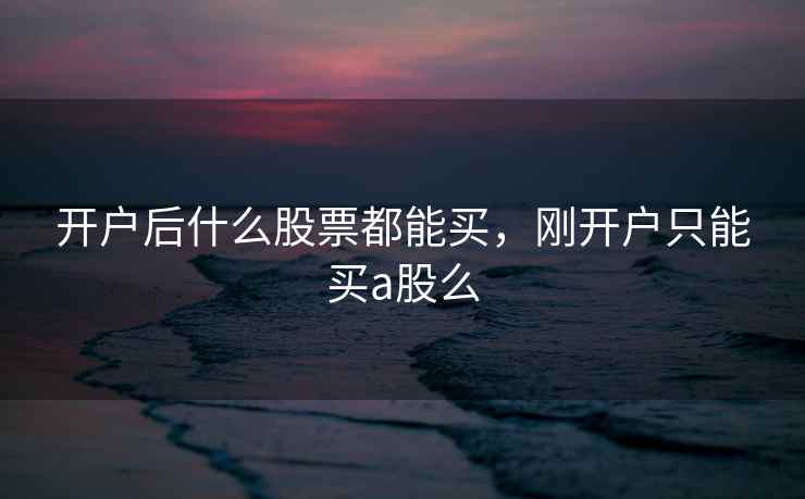 开户后什么股票都能买，刚开户只能买a股么  第2张