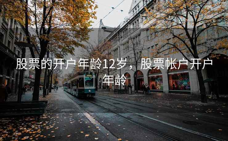 股票的开户年龄12岁,股票帐户开户年龄 第1张 股票的开户年龄12岁,股票帐户开户年龄 第1张