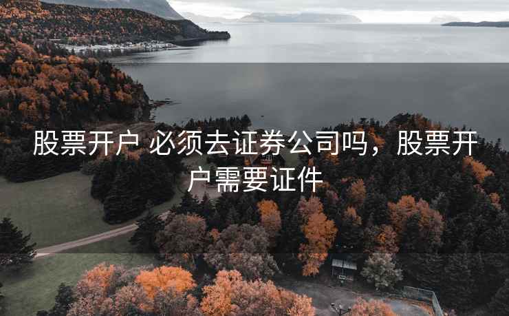 股票开户 必须去证券公司吗，股票开户需要证件  第1张