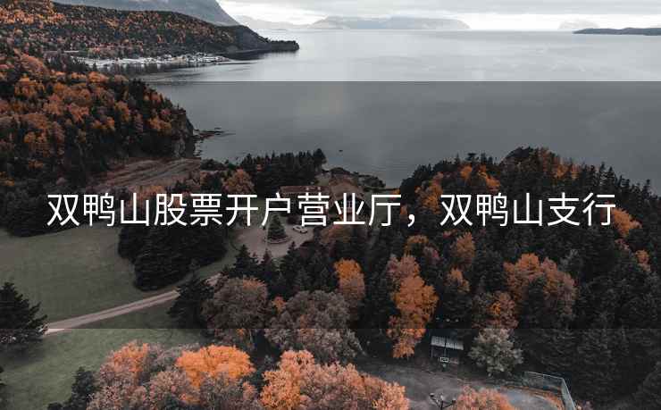 双鸭山股票开户营业厅，双鸭山支行  第1张